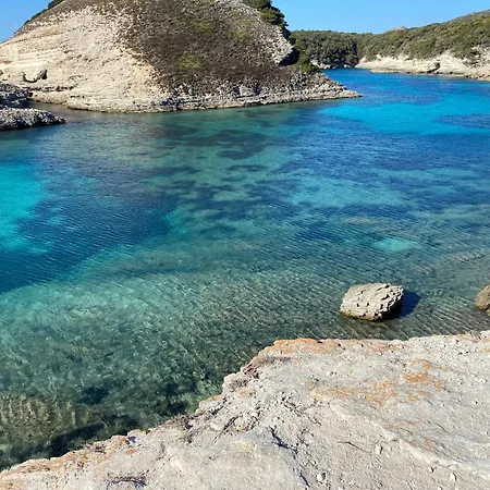 بيت للعطل Ogliastru - Maison En Pierre Avec Piscine Privee - *